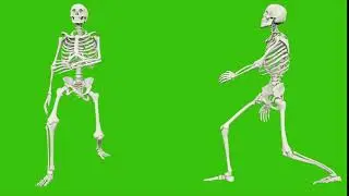 Free footage. Skeleton walk. Seamless loop animation on green screen.