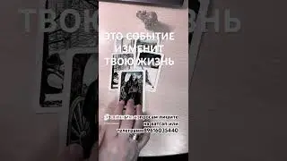 5 октября 2024 г.