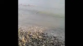 Шум моря #сочи#шумморя