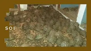 Cops Investigate Foul Stench