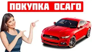 Оформляем ОСАГО в 2023 году