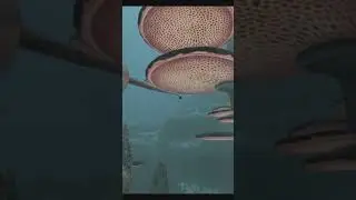 Subnautica Tips: Why the Grappling Arm is the Prawn Suit’s Best Upgrade