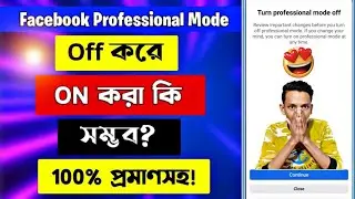 FB Professional Mode - Is it possible to turn off Facebook Professional Mode and turn it on again?