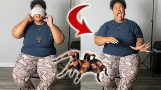 REAL TARANTULA PRANK ON GIRLFRIEND!!! | GlamDuch & Mi