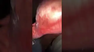 Свиная полутуша 42 кг 🤏🤣