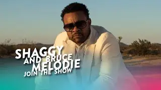 Shaggy and Bruce Melodie Join the Cast