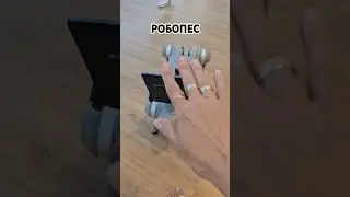 Robot dog