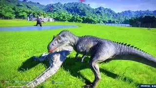 The ultimate dinosaur fight off part two