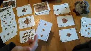 How to Play Shed - FoL Game Guide