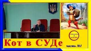 Кот в суде. Часть 1