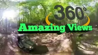Amazing 360 VR views of Pristine West Virginia Forest