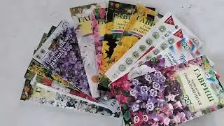 Моменты сельской жизни 32