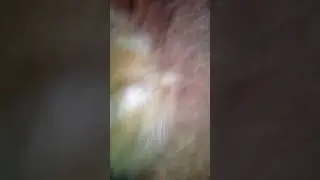 6 марта 2018 г.