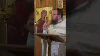 Умопомрачение за царя