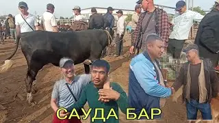 15-МАЙ/2024/КАРАОЗЕК МАЛ БАЗАРЫ/МАЛ БАЗАР 2024/ДЕМ БЕРМЕС МАЛ БАЗАР