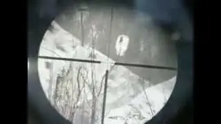 так стрельбы