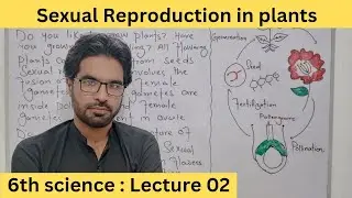 Sexual Reproduction in Plants || 6th science unit 02 || Lecture 02 in pashto