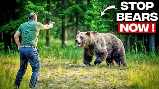 Best Bear Defense Handguns 2024: Best Handguns for Your Safety Outdoors!