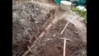 Power of Life Breaks Concrete
