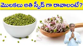 Sprouts Making | మొలకలు అతి స్పీడ్ గా రావాలంటే ? | Dr Manthena Satyanarayana Raju | GOOD HEALTH