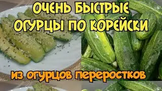Огурцы по корейски!Что делать с огурцами переростками