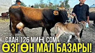СААН УЙЛАР КУНАЖЫН УРГААЧЫ ТОРПОК БААЛАРЫ 🤯 #байтв