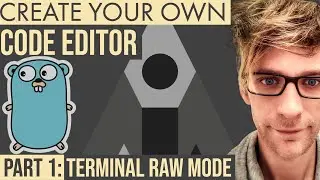Build An Editor In Go - Part 1: Terminal Raw Mode