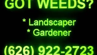 LANDSCAPING, High Desert, Victorville, Apple Valley, Hinkley, Hesperia, Pinon Hills, Oak Hills