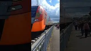 Ласточка у вокзала г. Ломоносова.