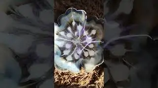 вазочка ручной работы эпоксидная смола 😀