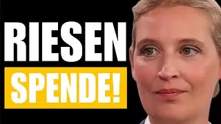 Großspende: AfD schockt alle Altparteien