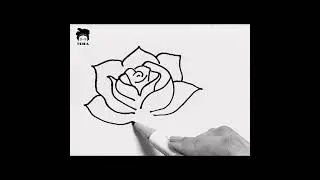 Want To Draw This? | How To Draw A Rose | How To Draw Rose | Rose Drawing #youtubeshorts #shorts #lv
