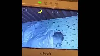 Видео всплыло на реддите