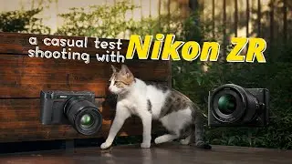 A casual test shooting with Nikon ZR and NIKKOR Z 24-70mm f/4 S.