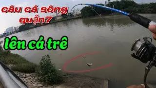 CÂU CÁ SÔNG TÂN THUẬN QUẬN 7 DÍNH TOÀN CÁ TRÊ - phiêu xứ dừa