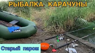 РЫБАЛКА. КАРАЧУНЫ. СТАРЫЙ ПАРОМ.