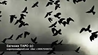 Миру МИР! Призыв ко всем, кто хочет мира на Земле