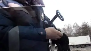 Инспектор путается   Трукам или визир