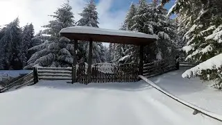 DJI AVATA 4K in Bucovina / Sit back and just enjoy the video