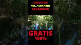 LEMPAR DEKAT AJA LANGSUNG DAPAT IKAN BESAR