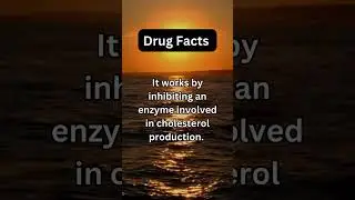 Atorvastatin is a popular medication used to reduce the risk of heart attack and stroke.