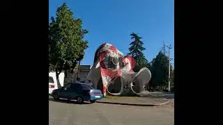 Стоит ли отдыхать в Пицунде в Абхазии?