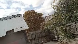 15 октября 2022 г.