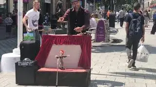 Puppetry road show must watch