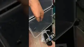The Baddest Shoe Stand🔥🔥 #unboxing