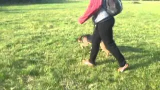 Rikitiki 2014-11-02