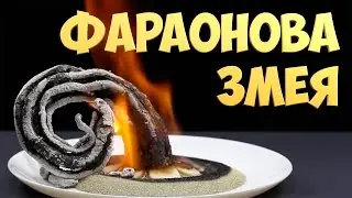 DIY - ФАРАОНОВА ЗМЕЯ Своими Руками [ENOT SHOW]