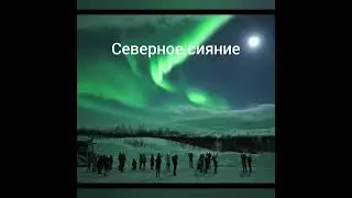 Это ЗРЕЛИЩЕ НЕПОВТОРИМО