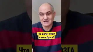 Что означает РОЗГА в книге Притчи? 