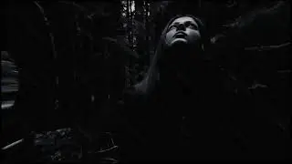 Horror Stock Footage - Deep Forest